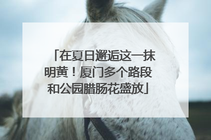 在夏日邂逅这一抹明黄！厦门多个路段和公园腊肠花盛放