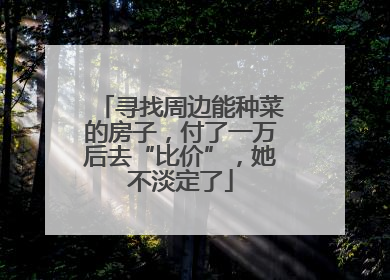 寻找周边能种菜的房子，付了一万后去“比价”，她不淡定了