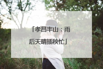 孝昌丰山：雨后天晴插秧忙