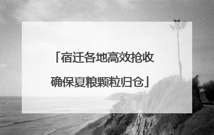 宿迁各地高效抢收 确保夏粮颗粒归仓