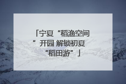 宁夏“稻渔空间”开园 解锁初夏“稻田游”