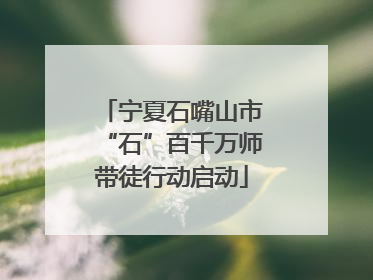 宁夏石嘴山市“石”百千万师带徒行动启动