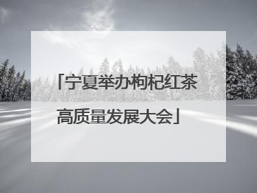 宁夏举办枸杞红茶高质量发展大会