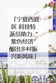 宁夏西夏区 科技特派员助力“紫色经济”酿出乡村振兴新风味