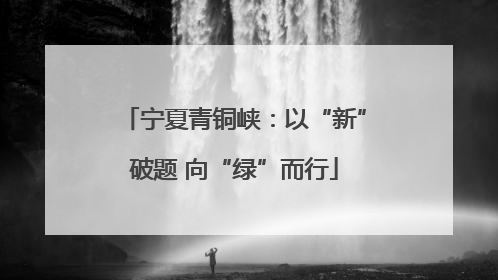 宁夏青铜峡：以“新”破题 向“绿”而行