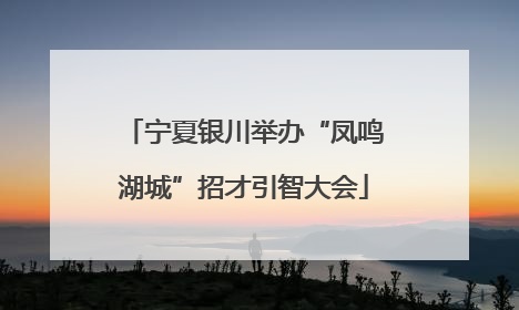 宁夏银川举办“凤鸣湖城”招才引智大会