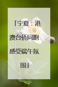 宁夏：港澳台侨同胞感受端午氛围