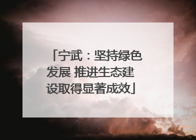 宁武：坚持绿色发展 推进生态建设取得显著成效