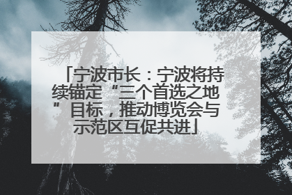 宁波市长：宁波将持续锚定“三个首选之地”目标，推动博览会与示范区互促共进