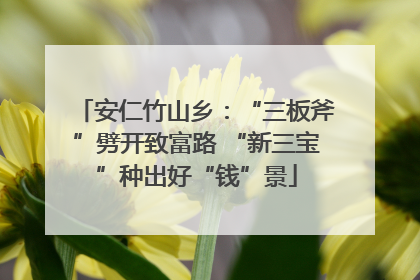 安仁竹山乡：“三板斧”劈开致富路 “新三宝”种出好“钱”景