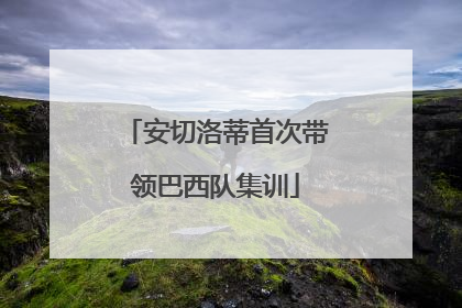 安切洛蒂首次带领巴西队集训
