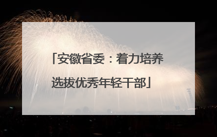 安徽省委：着力培养选拔优秀年轻干部