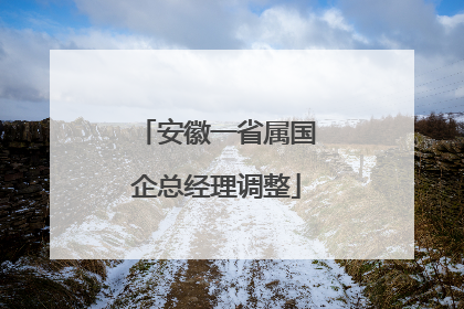 安徽一省属国企总经理调整