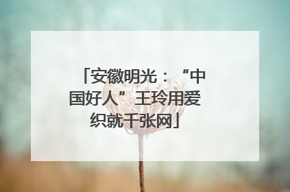 安徽明光：“中国好人”王玲用爱织就千张网