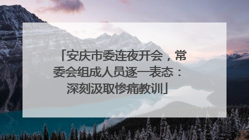 安庆市委连夜开会，常委会组成人员逐一表态：深刻汲取惨痛教训