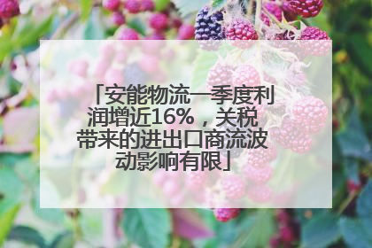 安能物流一季度利润增近16%，关税带来的进出口商流波动影响有限