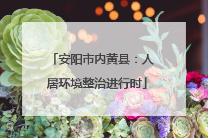安阳市内黄县：人居环境整治进行时