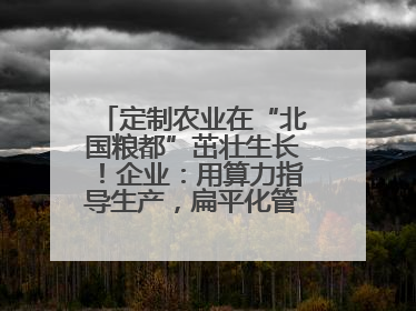 定制农业在“北国粮都”茁壮生长！企业：用算力指导生产，扁平化管理种地
