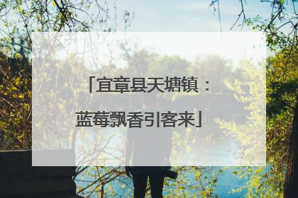 宜章县天塘镇：蓝莓飘香引客来