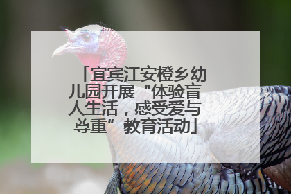 宜宾江安橙乡幼儿园开展“体验盲人生活，感受爱与尊重”教育活动
