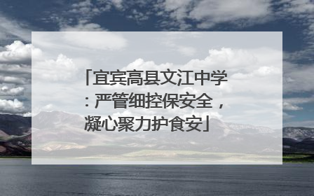 宜宾高县文江中学：严管细控保安全，凝心聚力护食安