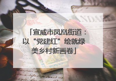 宣威市凤凰街道：以“党建红”绘就绿美乡村新画卷