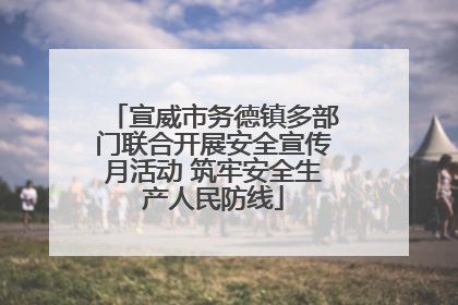 宣威市务德镇多部门联合开展安全宣传月活动 筑牢安全生产人民防线