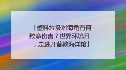 塑料垃圾对海龟有何致命伤害？世界环境日，走进开普敦海洋馆