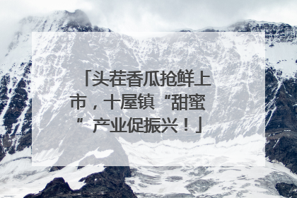 头茬香瓜抢鲜上市，十屋镇“甜蜜”产业促振兴！
