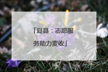 夏县：志愿服务助力麦收