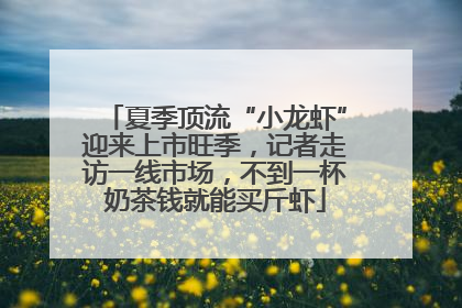 夏季顶流“小龙虾”迎来上市旺季，记者走访一线市场，不到一杯奶茶钱就能买斤虾