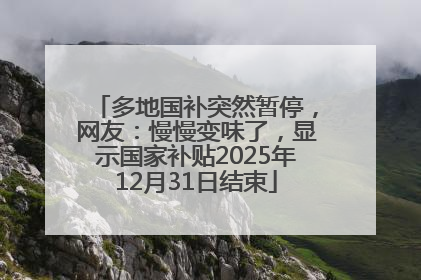 多地国补突然暂停，网友：慢慢变味了，显示国家补贴2025年12月31日结束