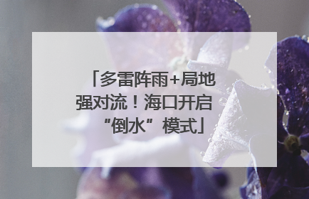 多雷阵雨+局地强对流！海口开启“倒水”模式