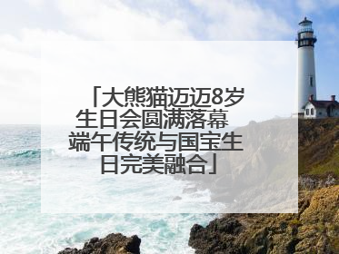 大熊猫迈迈8岁生日会圆满落幕 端午传统与国宝生日完美融合