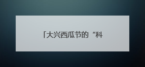 大兴西瓜节的“科技烟火气”：机器狗搬瓜、AI摊煎饼
