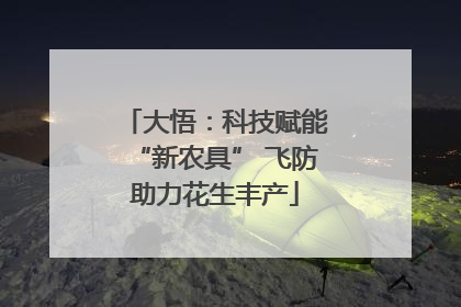 大悟：科技赋能“新农具” 飞防助力花生丰产