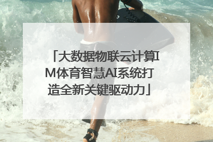 大数据物联云计算IM体育智慧AI系统打造全新关键驱动力