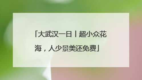 大武汉一日丨超小众花海，人少景美还免费