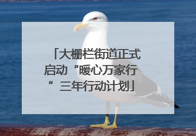 大栅栏街道正式启动“暖心万家行”三年行动计划