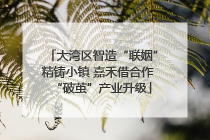 大湾区智造“联姻”精铸小镇 嘉禾借合作“破茧”产业升级