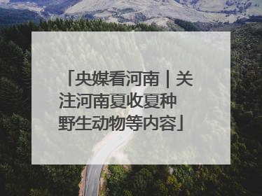 央媒看河南｜关注河南夏收夏种 野生动物等内容