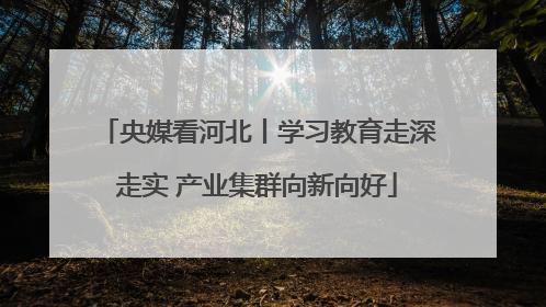 央媒看河北丨学习教育走深走实 产业集群向新向好