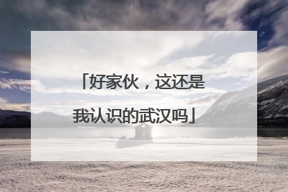 好家伙，这还是我认识的武汉吗