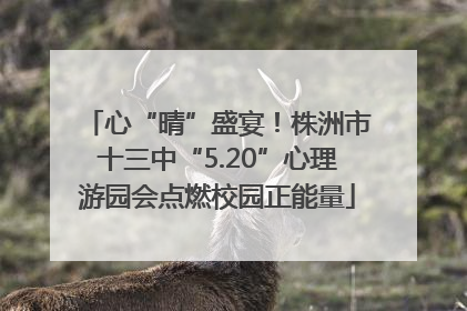 心“晴”盛宴！株洲市十三中“5.20”心理游园会点燃校园正能量