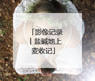 影像记录丨盐碱地上麦收记