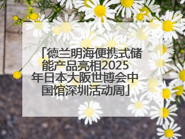 德兰明海便携式储能产品亮相2025年日本大阪世博会中国馆深圳活动周