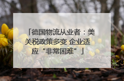 德国物流从业者：美关税政策多变 企业适应“非常困难”