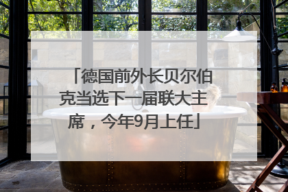 德国前外长贝尔伯克当选下一届联大主席，今年9月上任
