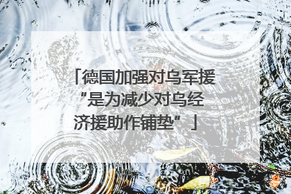 德国加强对乌军援 “是为减少对乌经济援助作铺垫”