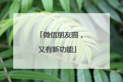 微信朋友圈，又有新功能
